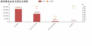 博思軟件歸母凈利潤增速56.1%創(chuàng)5年新高，技術(shù)服務(wù)業(yè)務(wù)成利潤增長核心引擎